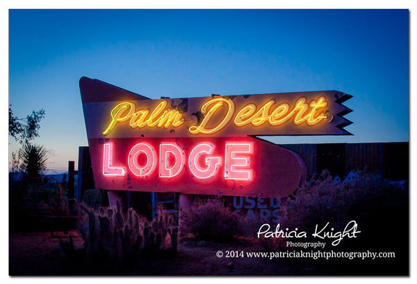 palm desert neon sign at bungalow in the boulders in joshua tree