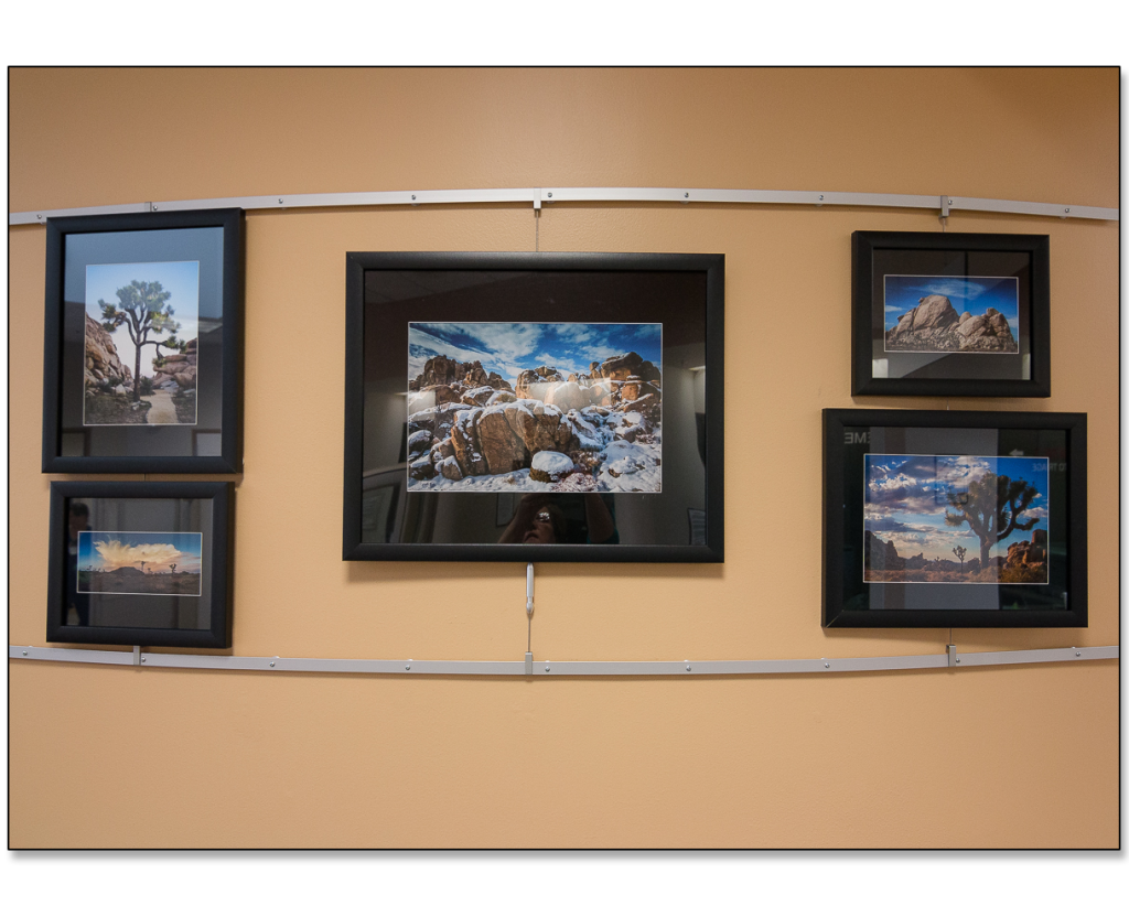 fine art photography gallery display